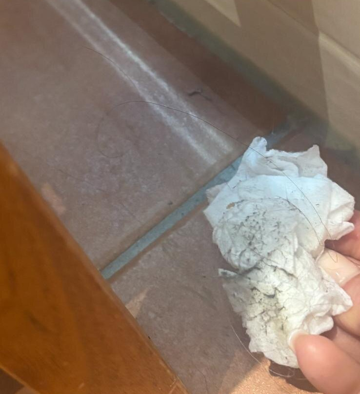 多洛雷斯酒店主图