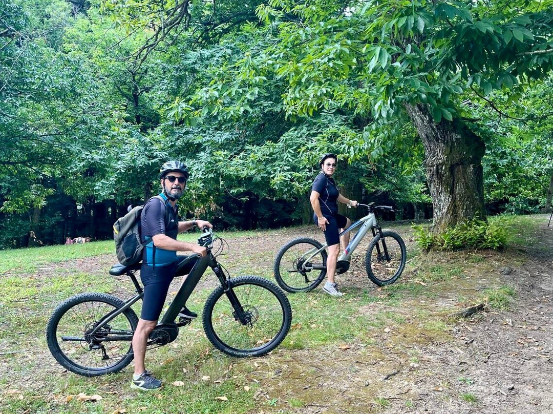 Casentino Escursioni-波皮必去景点