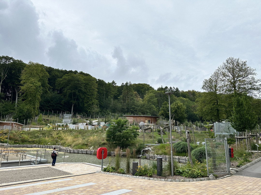 Tierpark Sassnitz-萨斯尼茨必去景点