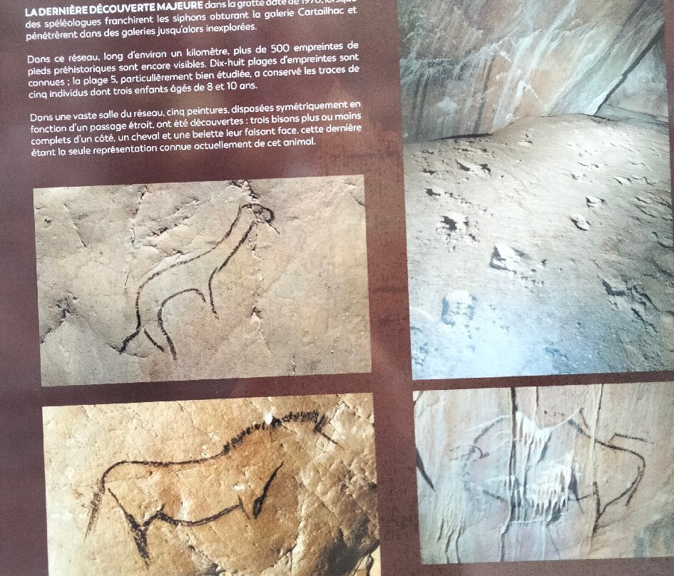 Grotte de Niaux-Niaux必去景点