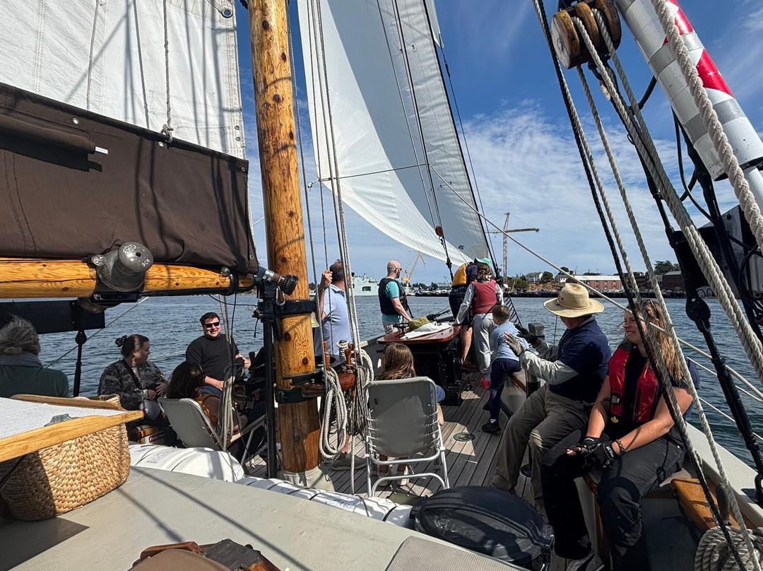 3-Hour Sail-维多利亚必去景点