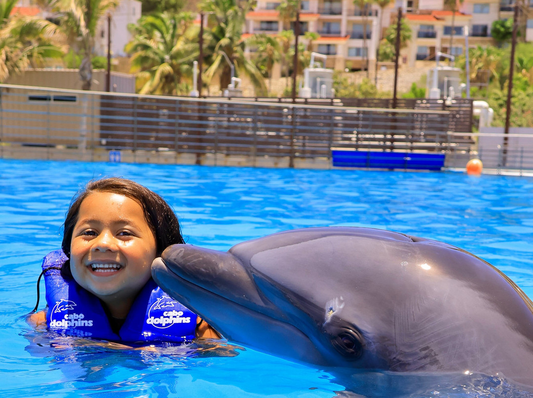 Dolphin Discovery Los Cabos-圣何塞卡波必去景点