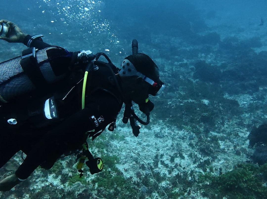 Buccaneer Diving-帕杰必去景点