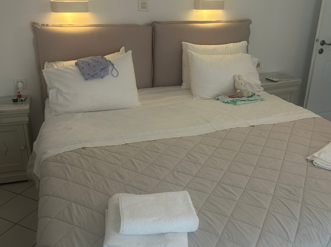 尼基斯田园酒店主图