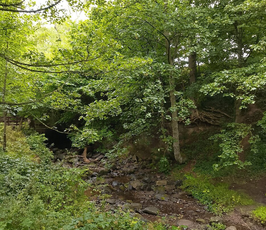 Barry Mill-Carnoustie必去景点