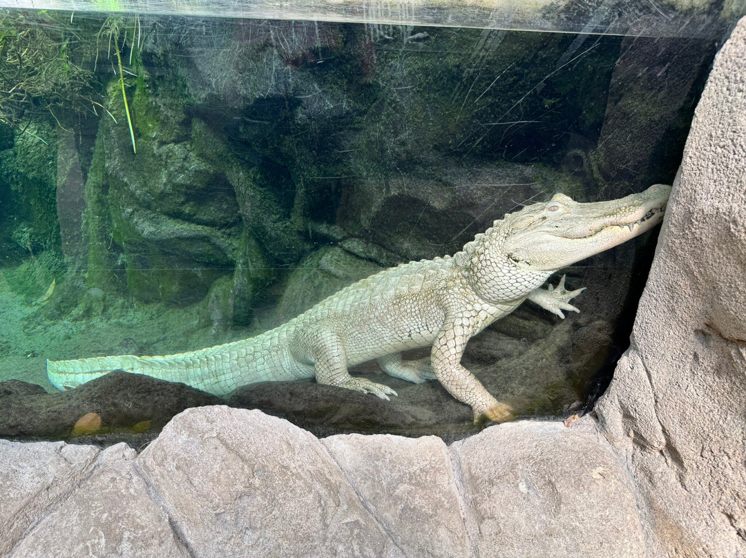 Planet Exotica-鲁瓦扬必去景点