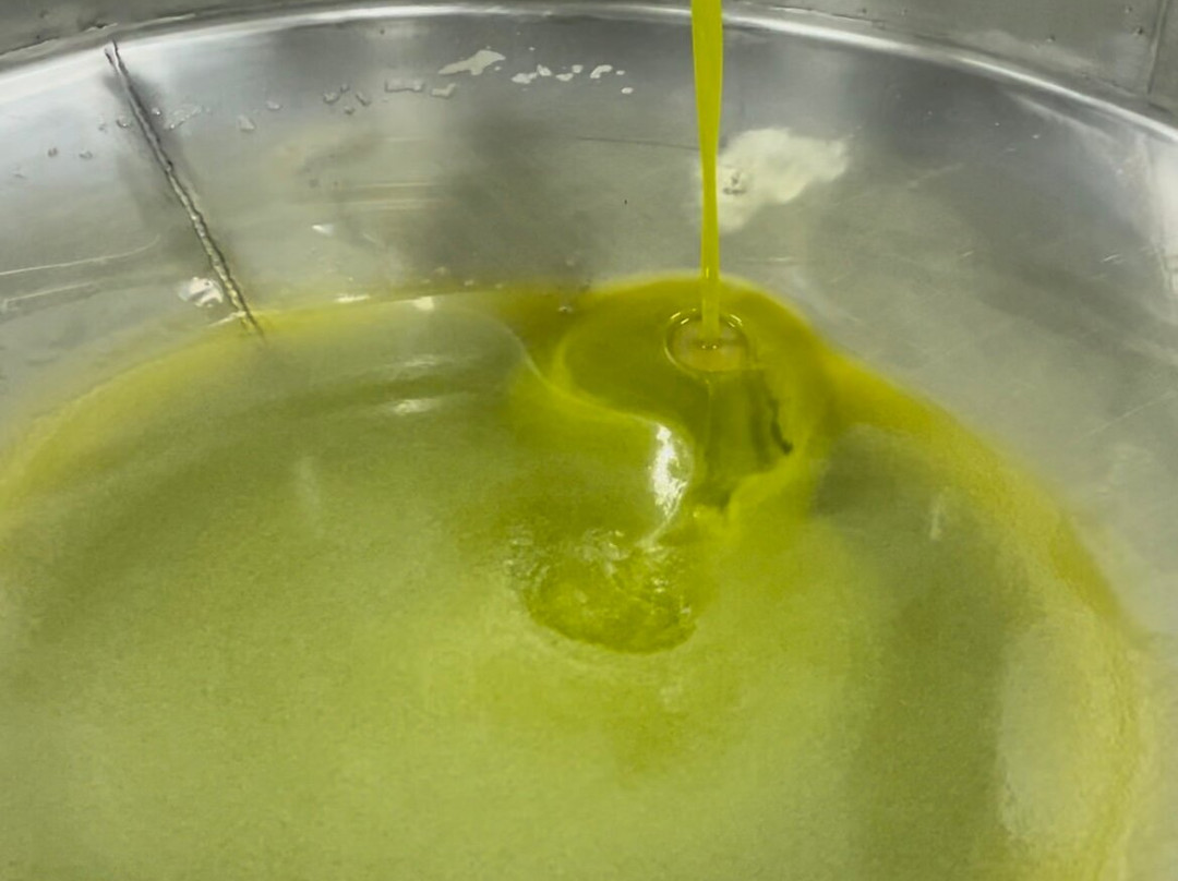 Jacob's Olive-Sveti Filip i Jakov必去景点