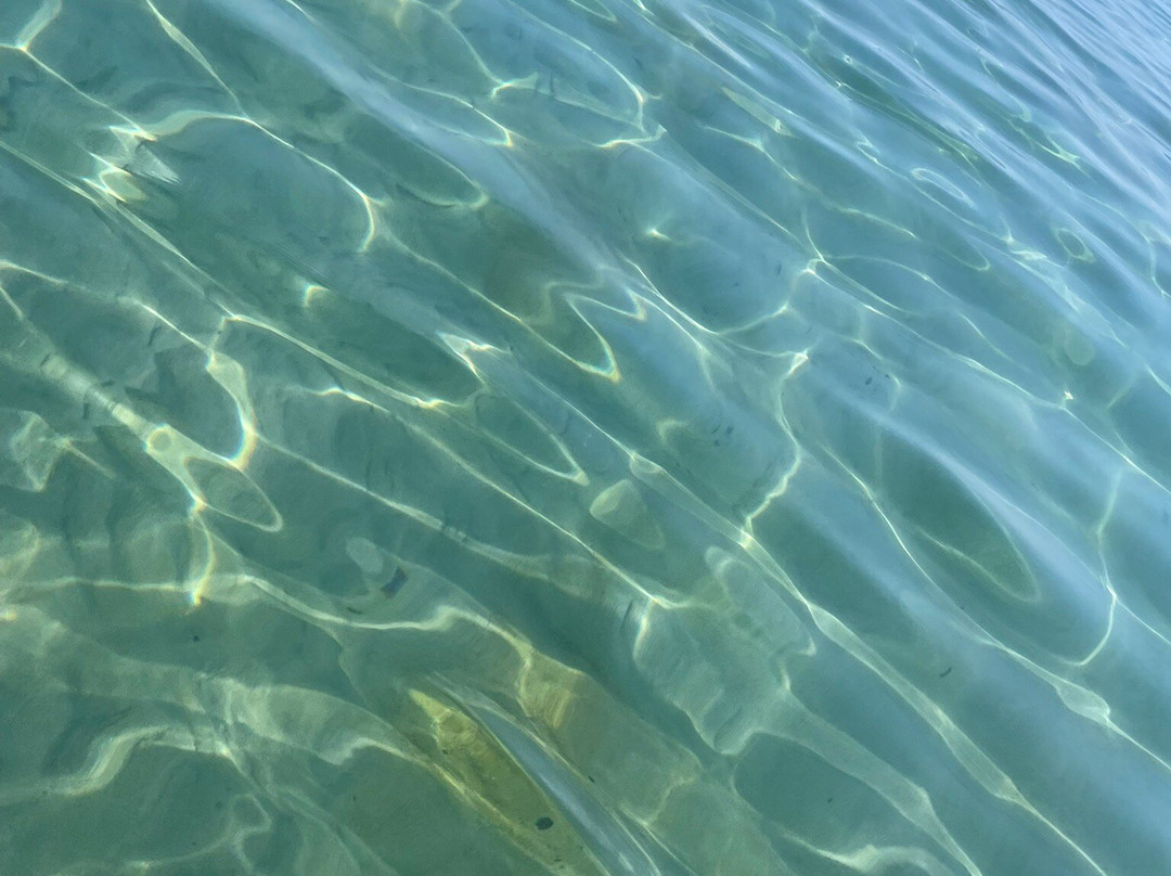 Platja De Sant Elm-Andratx必去景点