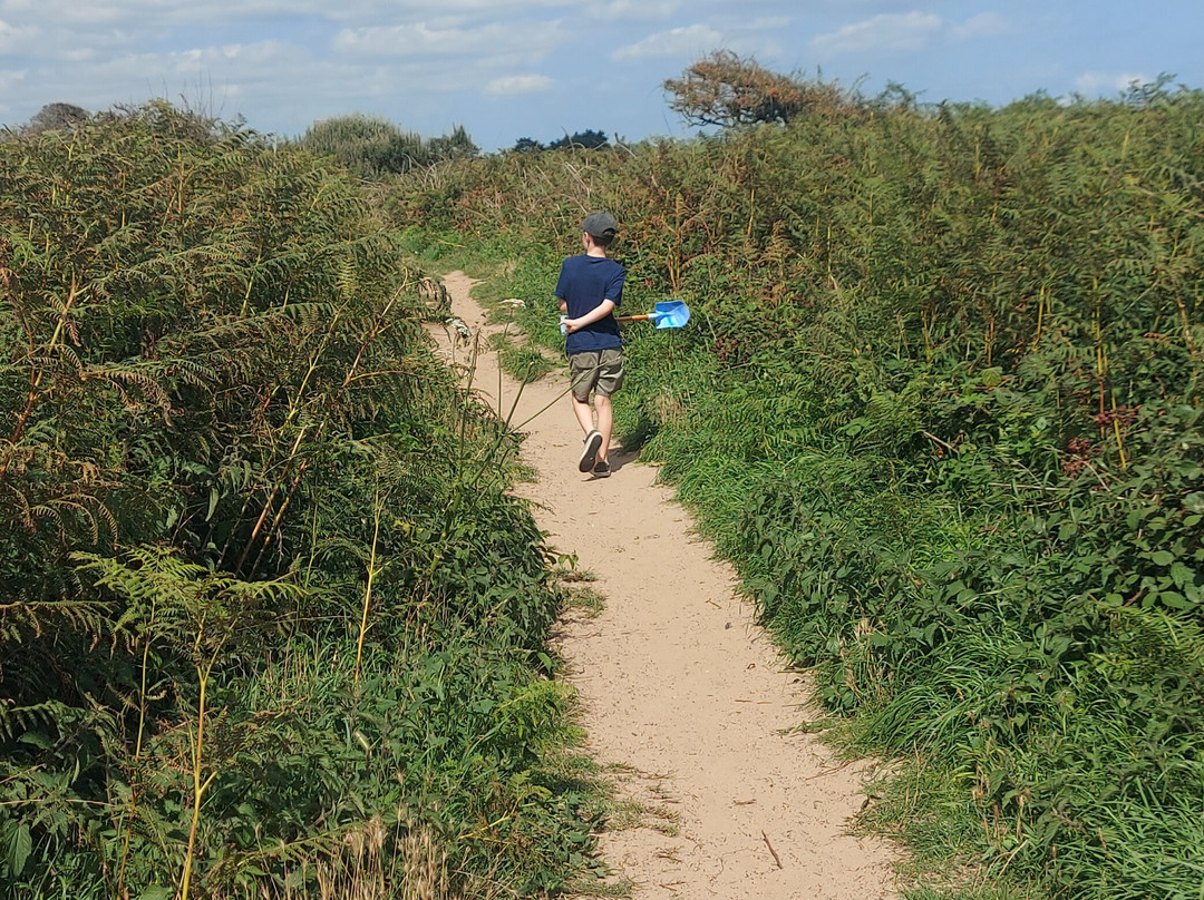 Covehithe Beach-Beccles必去景点