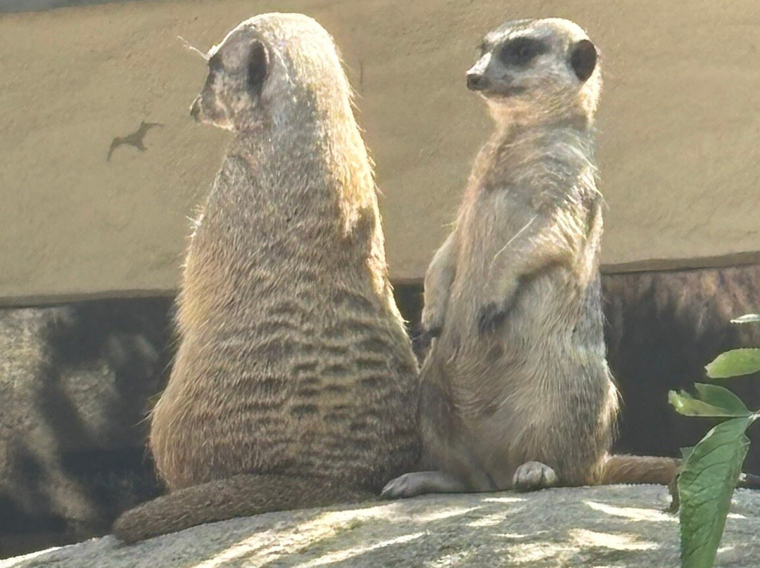 Rostock Zoo-罗斯托克必去景点