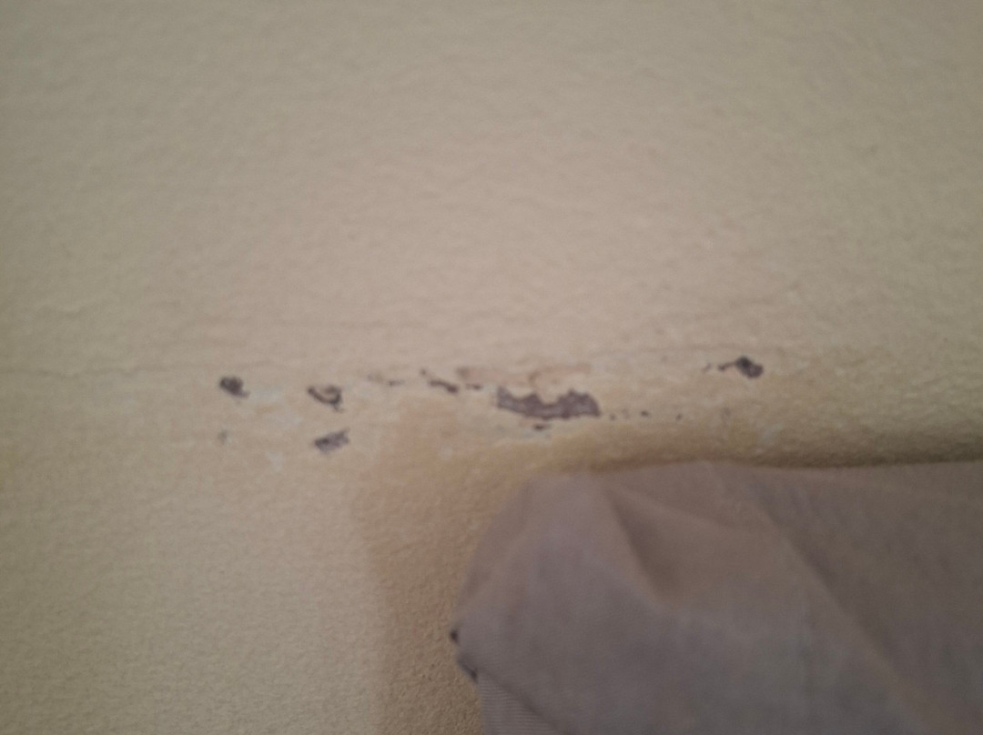 Beamish Mary Inn主图