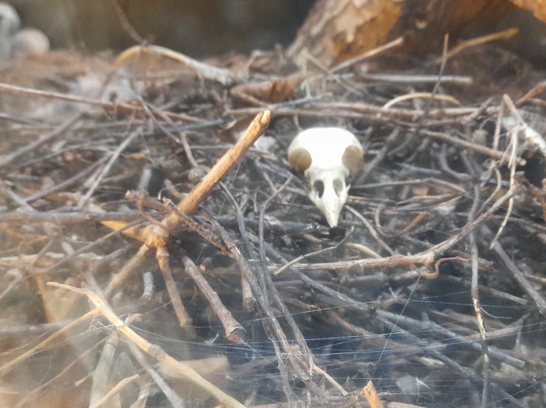 比尔公园-雷丁必去景点