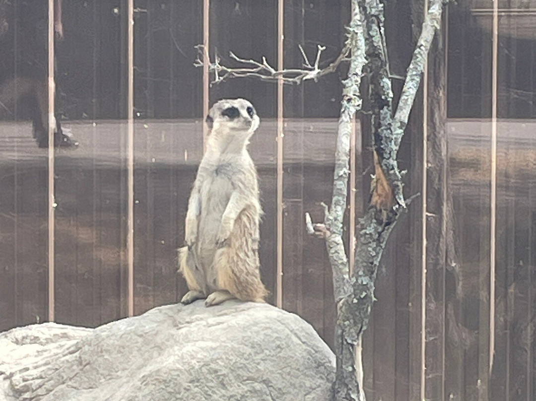 Riverview Park & Zoo-彼得伯勒必去景点