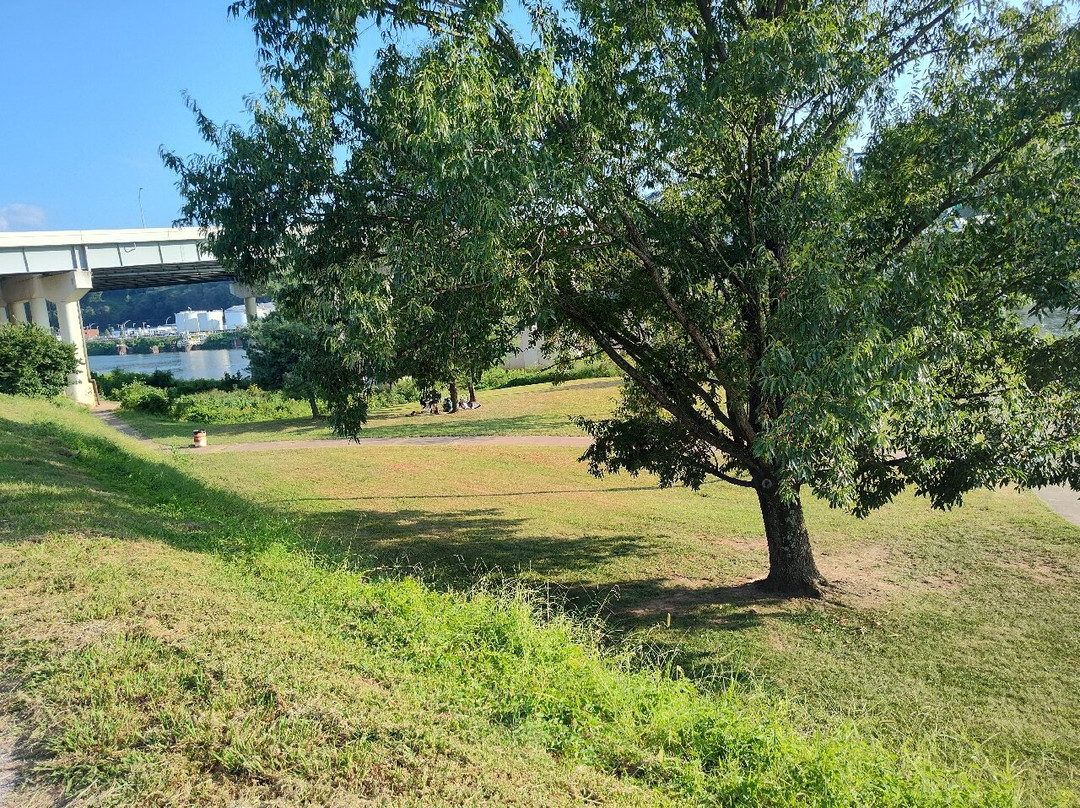 Magic Island Park-查尔斯顿必去景点