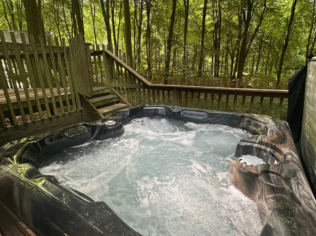 Blackwood Forest-温彻斯特必去景点