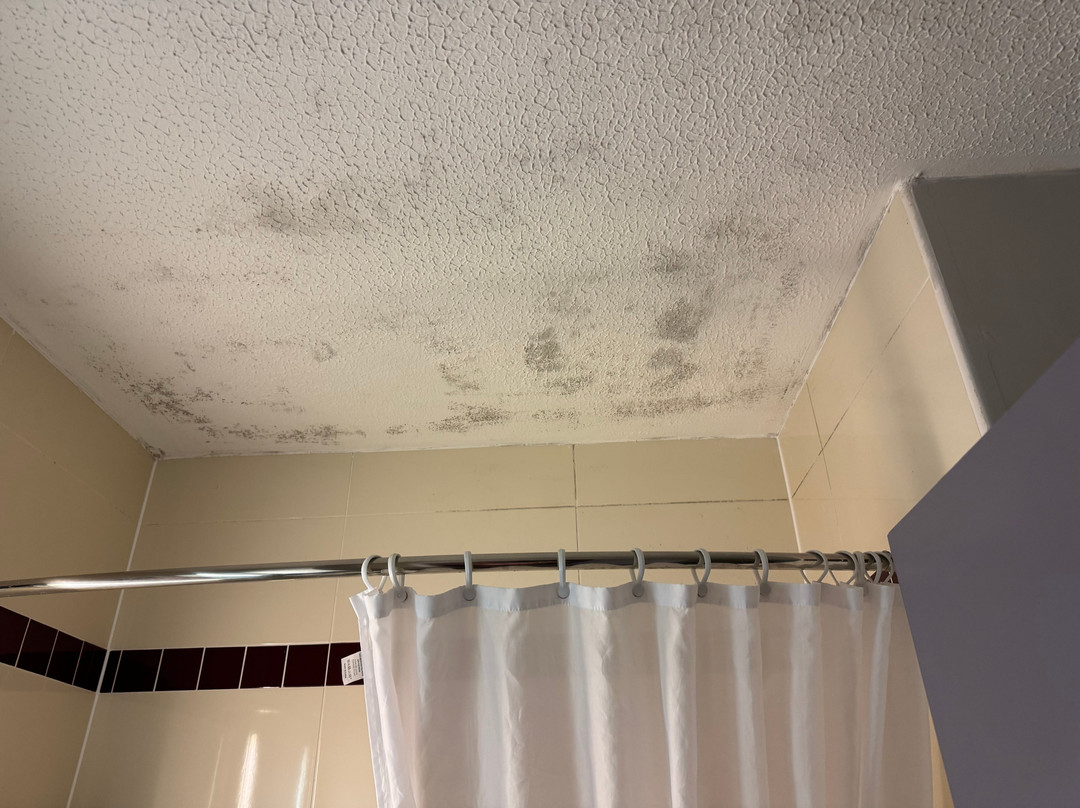 茱莉斯史云顿旅馆主图