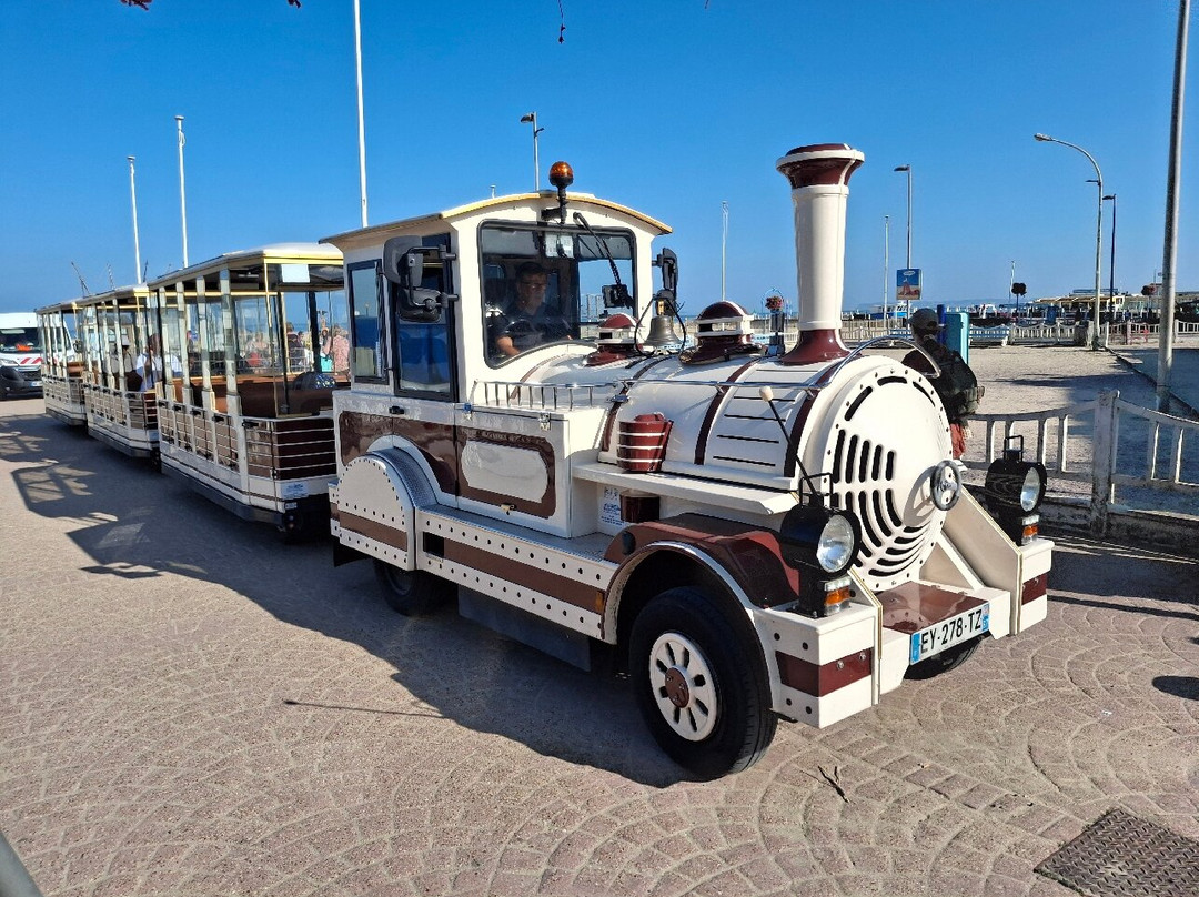 Le Petit Train de Trouvile-特鲁维尔海滨城必去景点