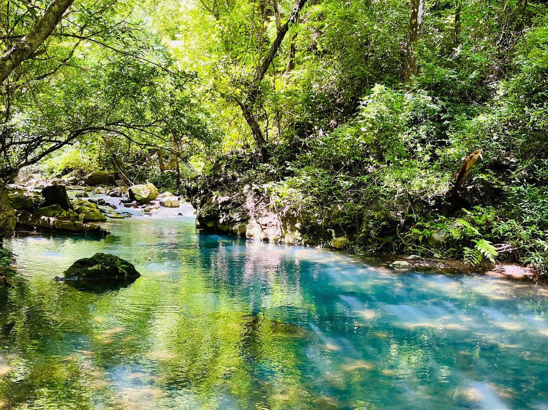 La Leona Waterfall Costa Rica-Curubande必去景点