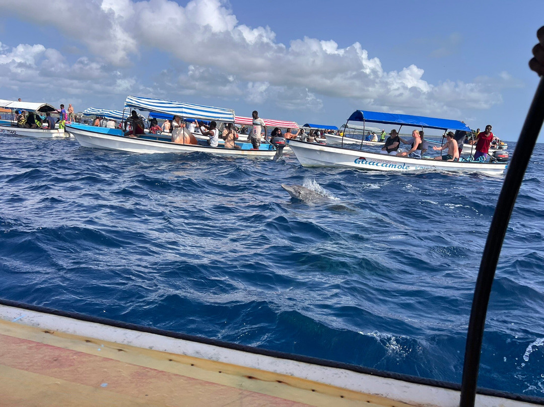 Mnemba Island Tour-姆内巴必去景点