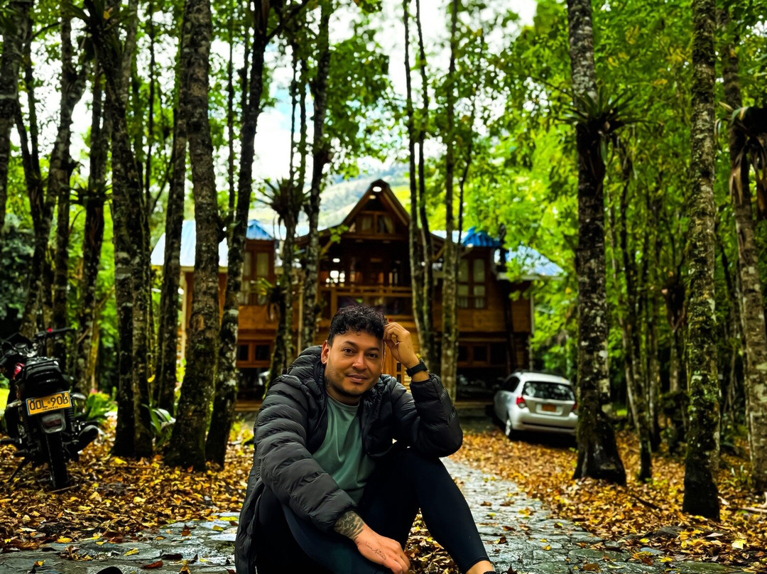 Urapanes Del Bosque主图