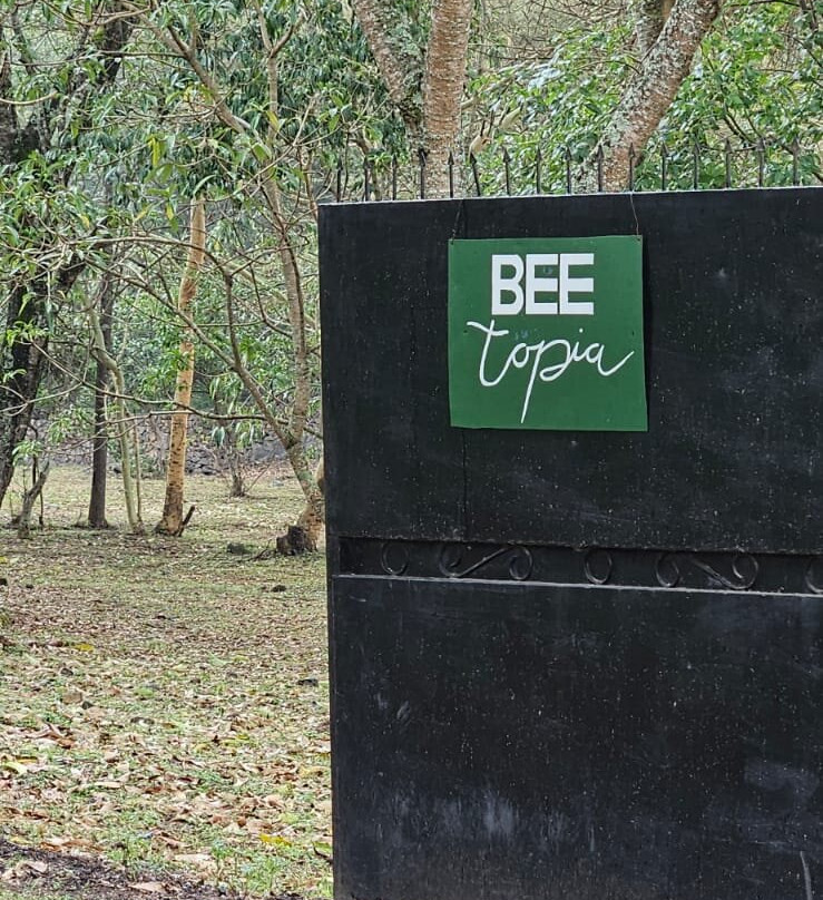 BEEtopia-阿鲁沙必去景点
