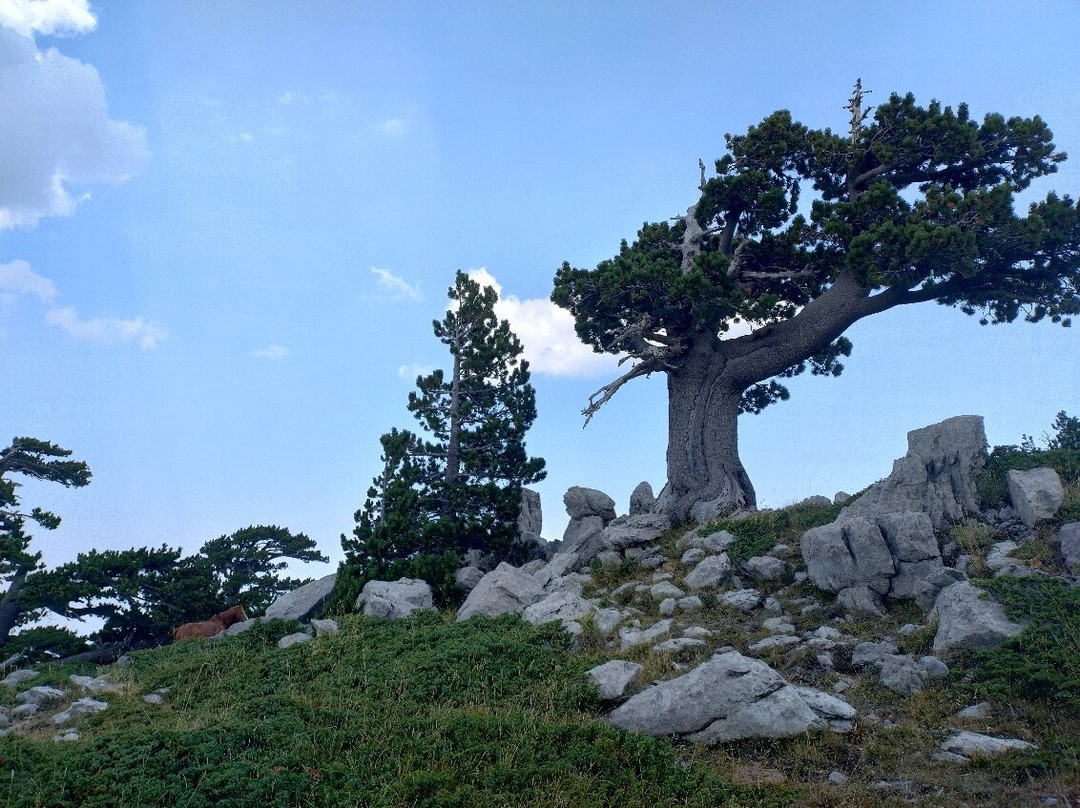 Ivy Tour-马拉泰亚必去景点