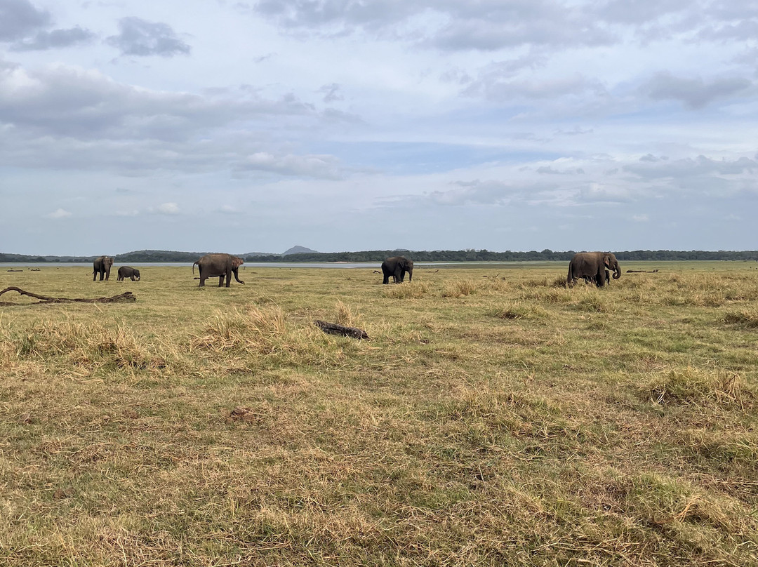 Lalaf Tours-尼甘布必去景点