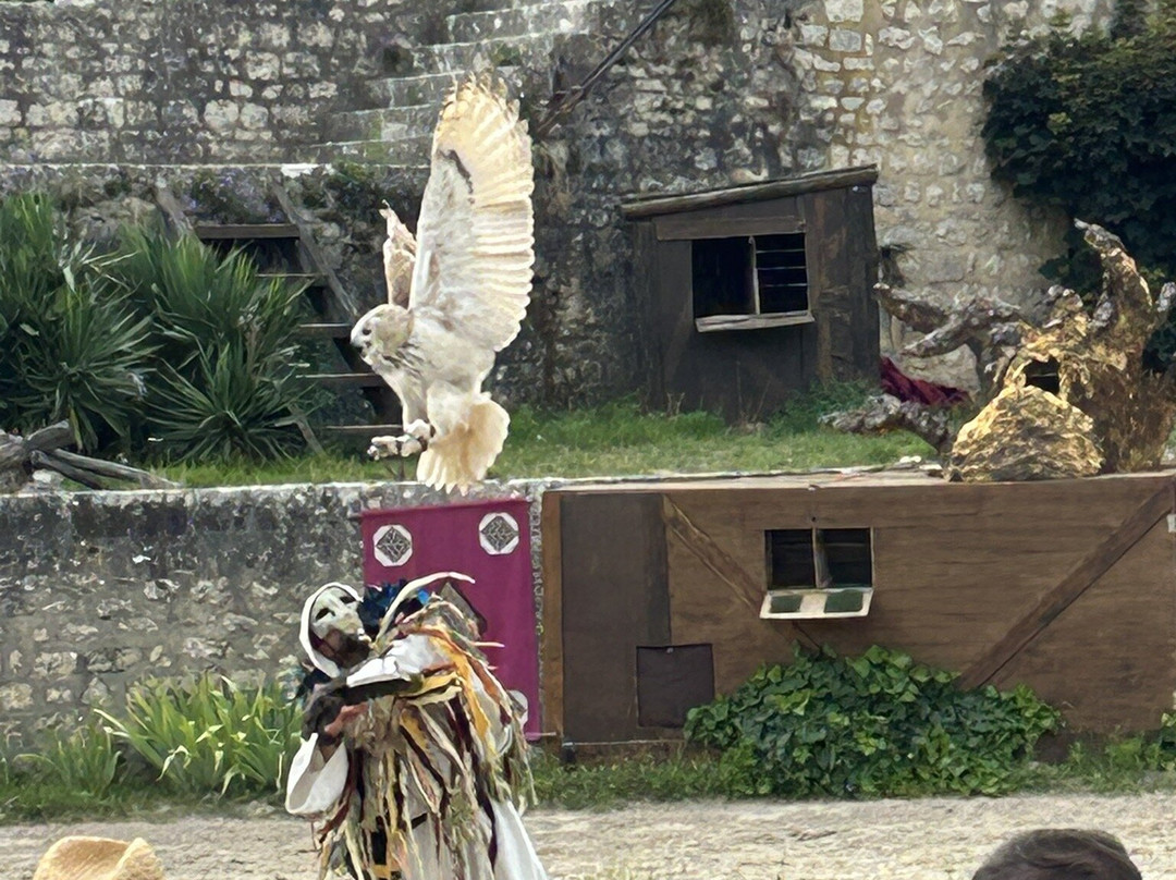 Les Aigles des Remparts-普罗万必去景点