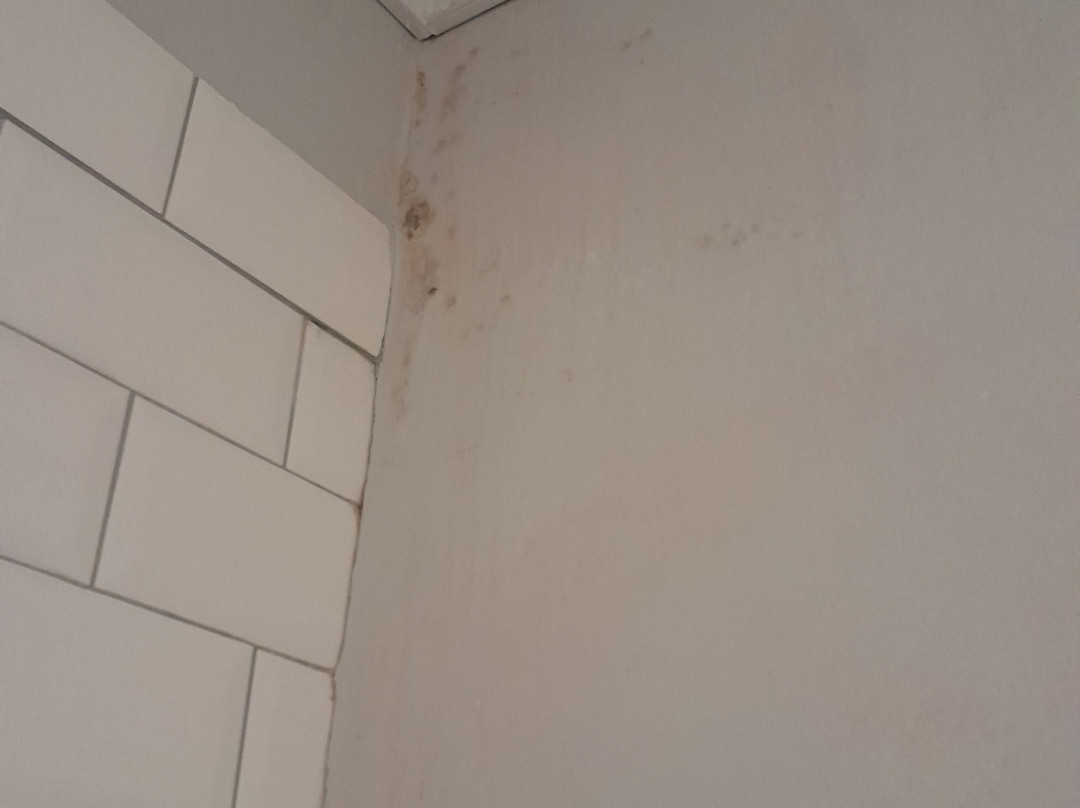 Oaklands Hotel主图