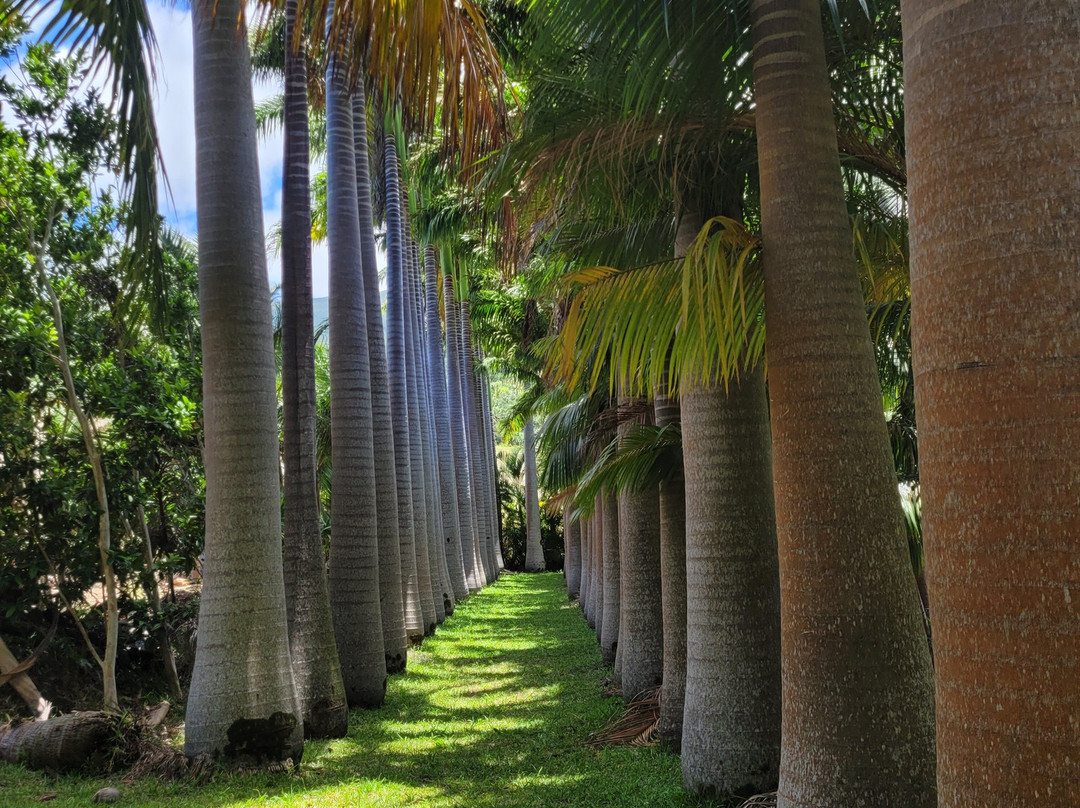 Bitasyon Bio-Saint-Philippe必去景点