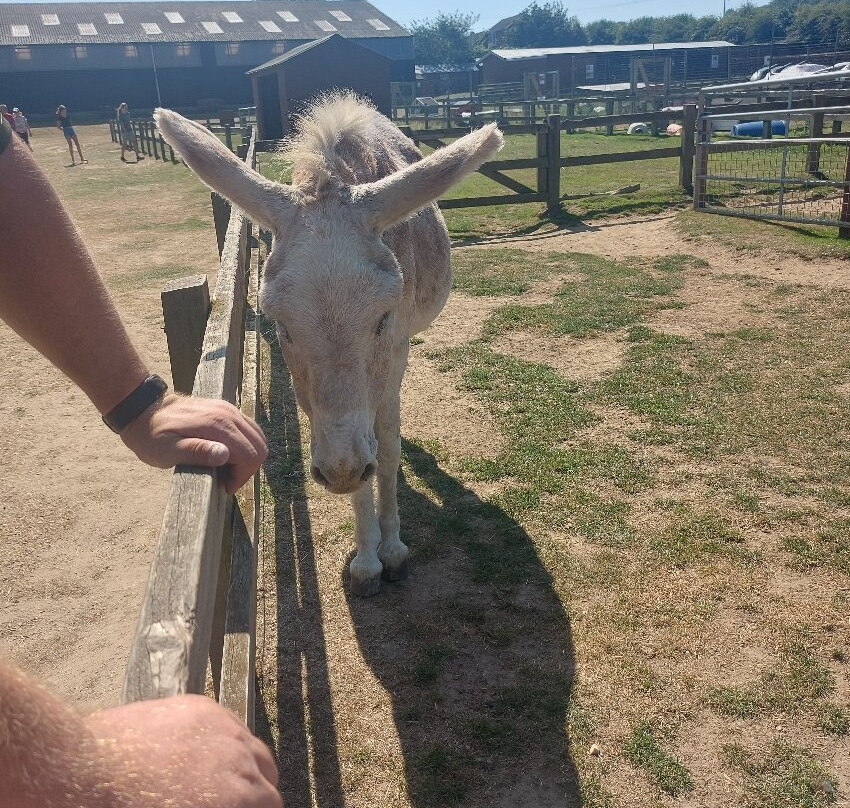Hillside Animal Sanctuary-Frettenham必去景点
