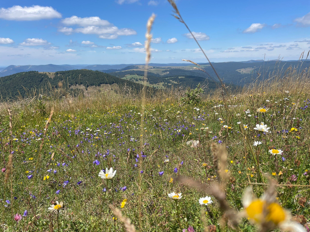 Route des Crêtes-La Bresse必去景点
