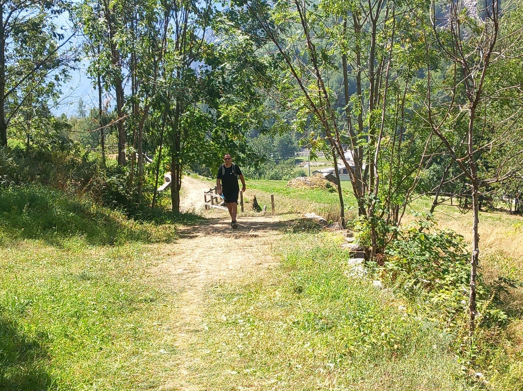 Panchina Gigante #201