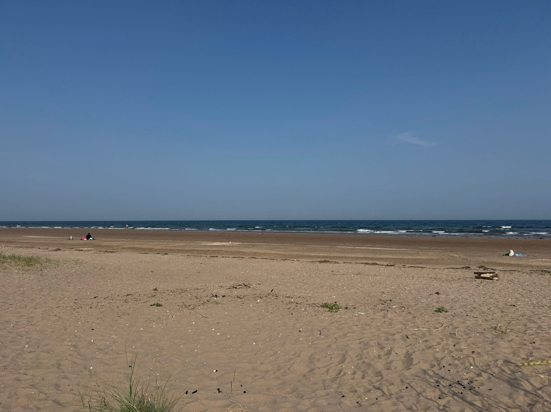 Tentsmuir Forest-Tayport必去景点