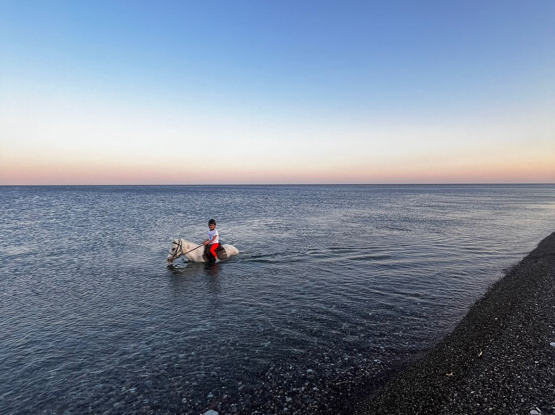 Rocking Horse Ranch-Gennadi必去景点