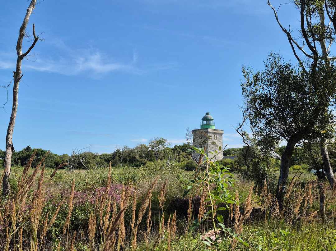 Phare d'Ailly-Sainte-Marguerite-sur-Mer必去景点
