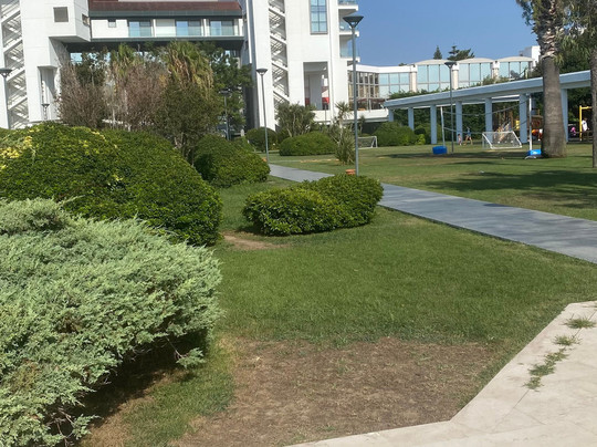 Grand Hotel Ontur主图