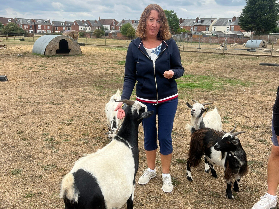 Willow Tree Family Farm-Shirebrook必去景点