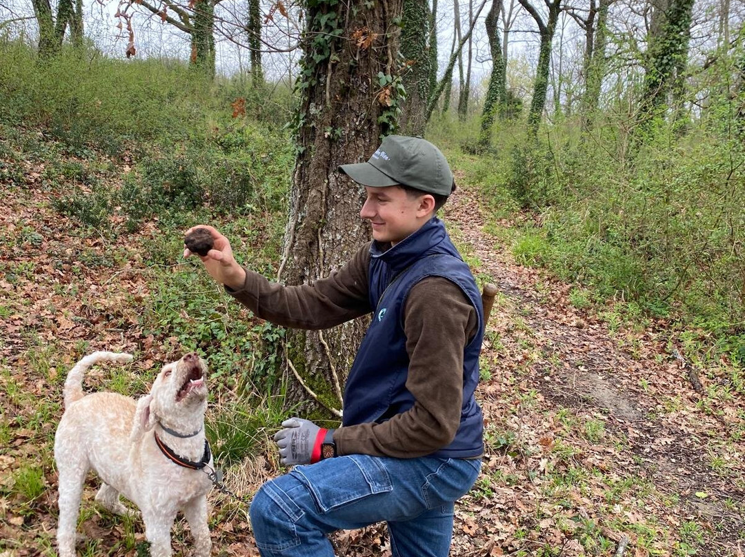 Truffle Hunting in Tuscany-卡斯德尔诺沃贝拉登卡必去景点