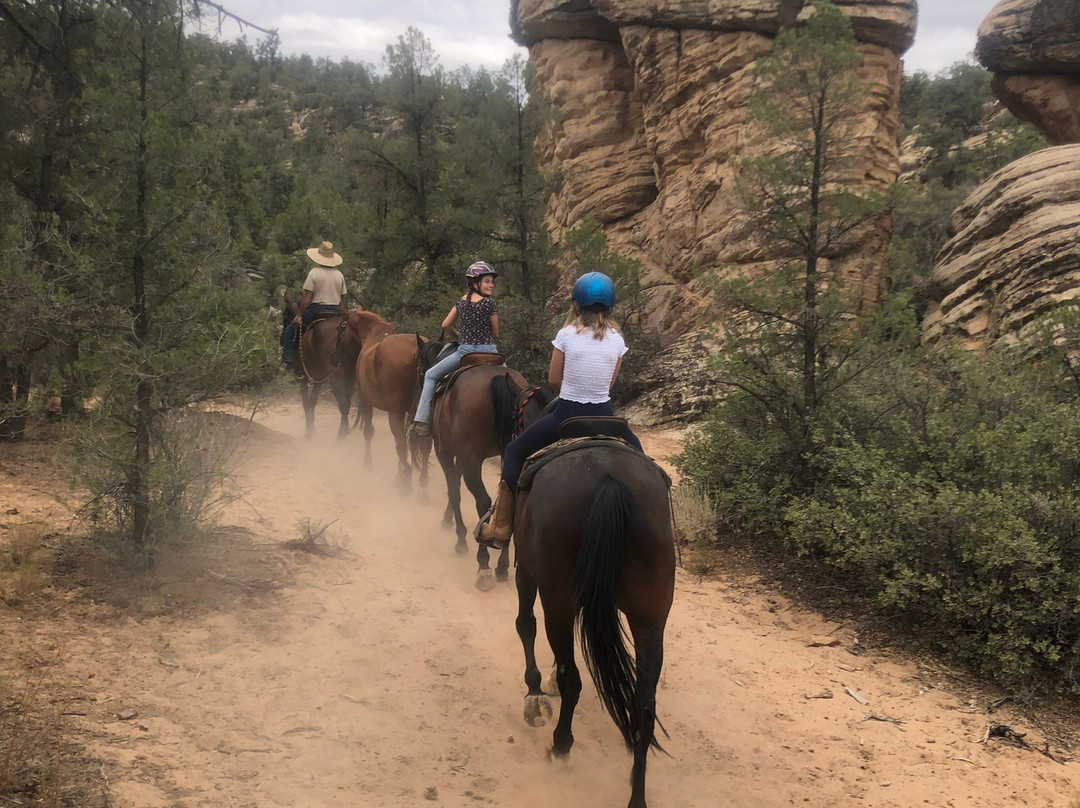 Snow Canyon Trail Rides-圣乔治必去景点