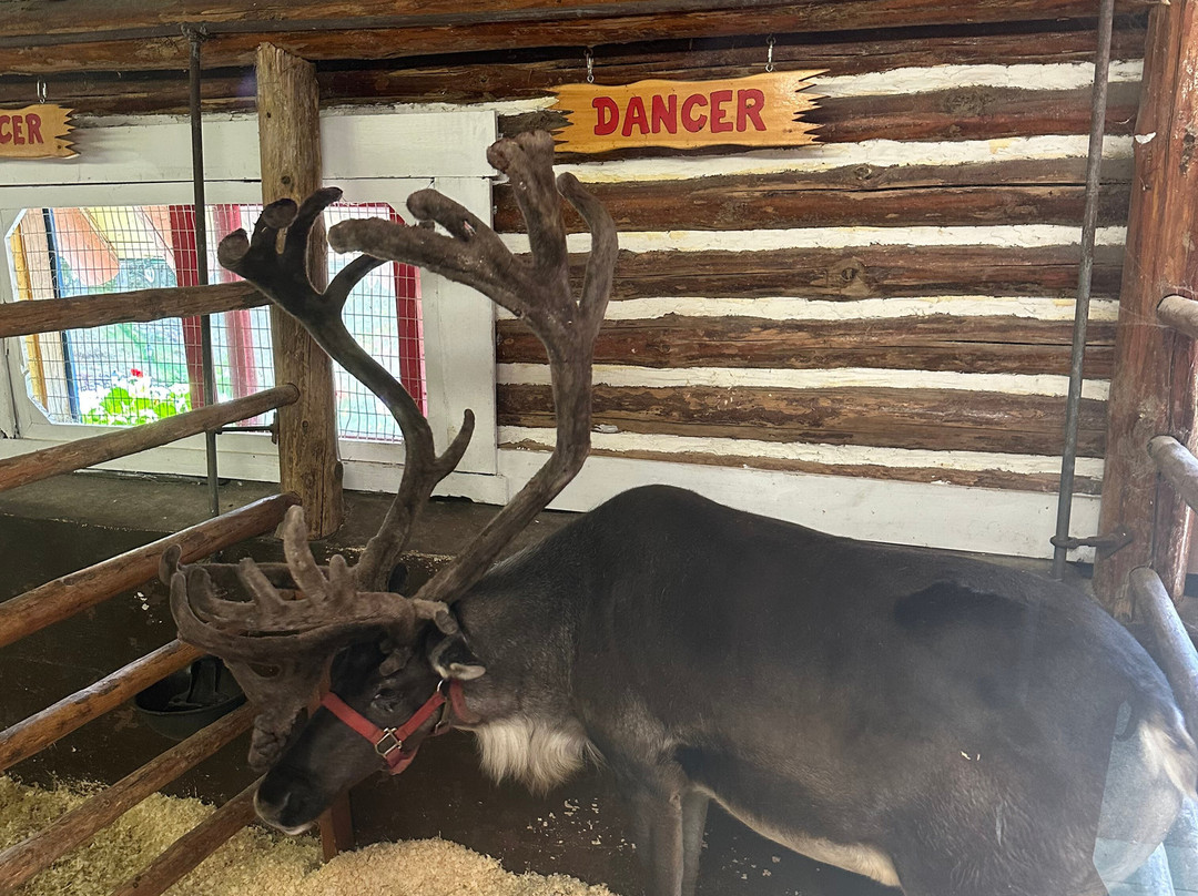 Santa's Workshop-North Pole必去景点