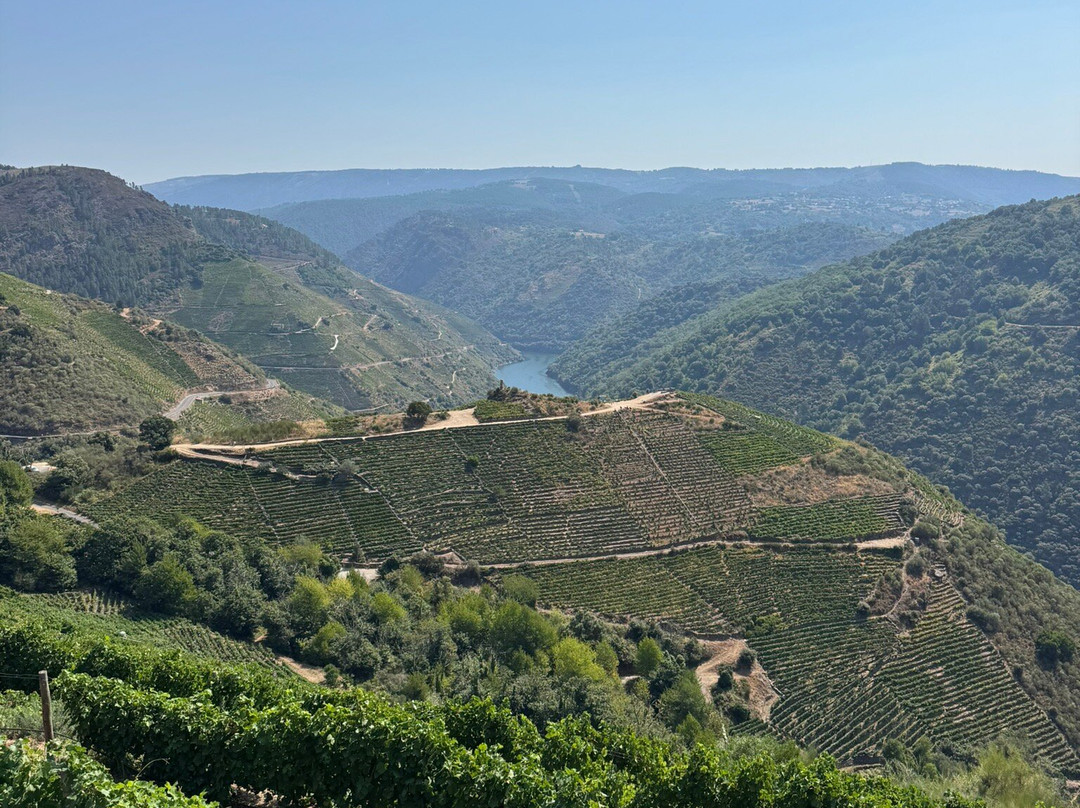 Bodegas Regina Viarum-Sober必去景点