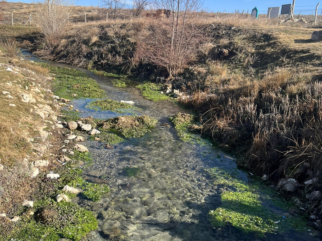 Eflatunpinar Hitit Su Aniti-贝伊谢希尔必去景点