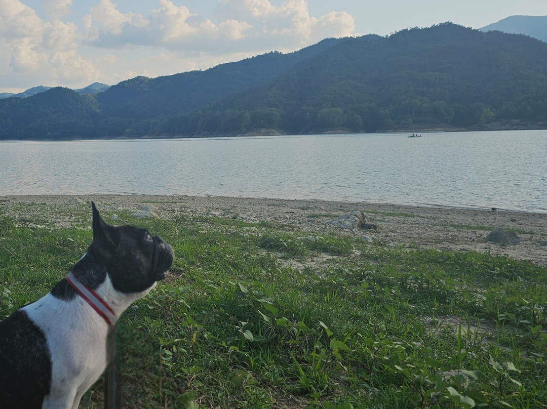 Lago del Salto-null必去景点