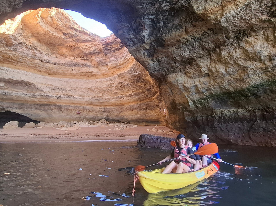 Treasure Tours-Porches必去景点