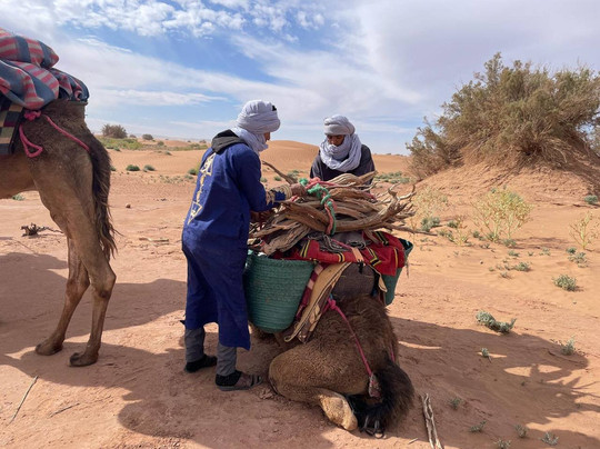 Sahara Secrets Discovery-迈哈米德必去景点