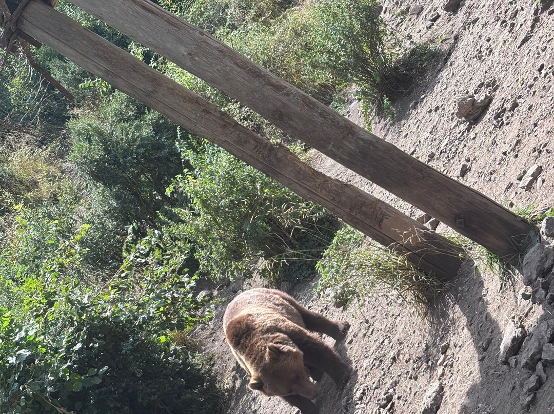 Parque del Hosquillo-拉斯马哈达斯必去景点
