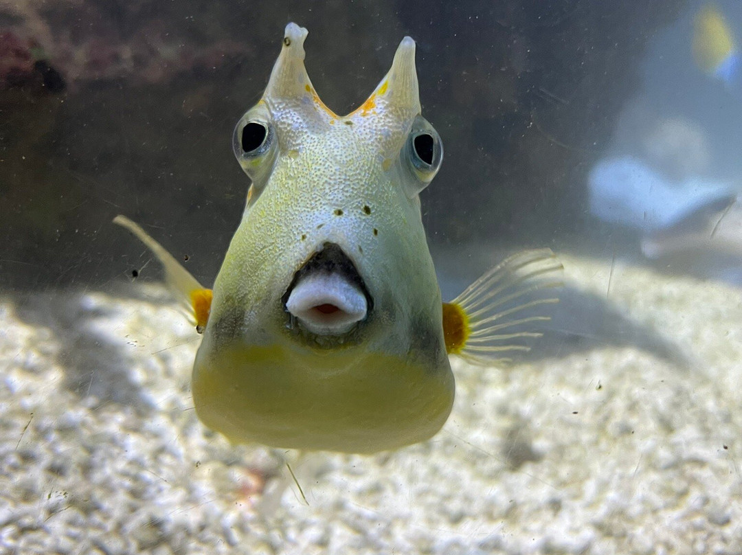 Hastings Aquarium-海斯廷斯必去景点