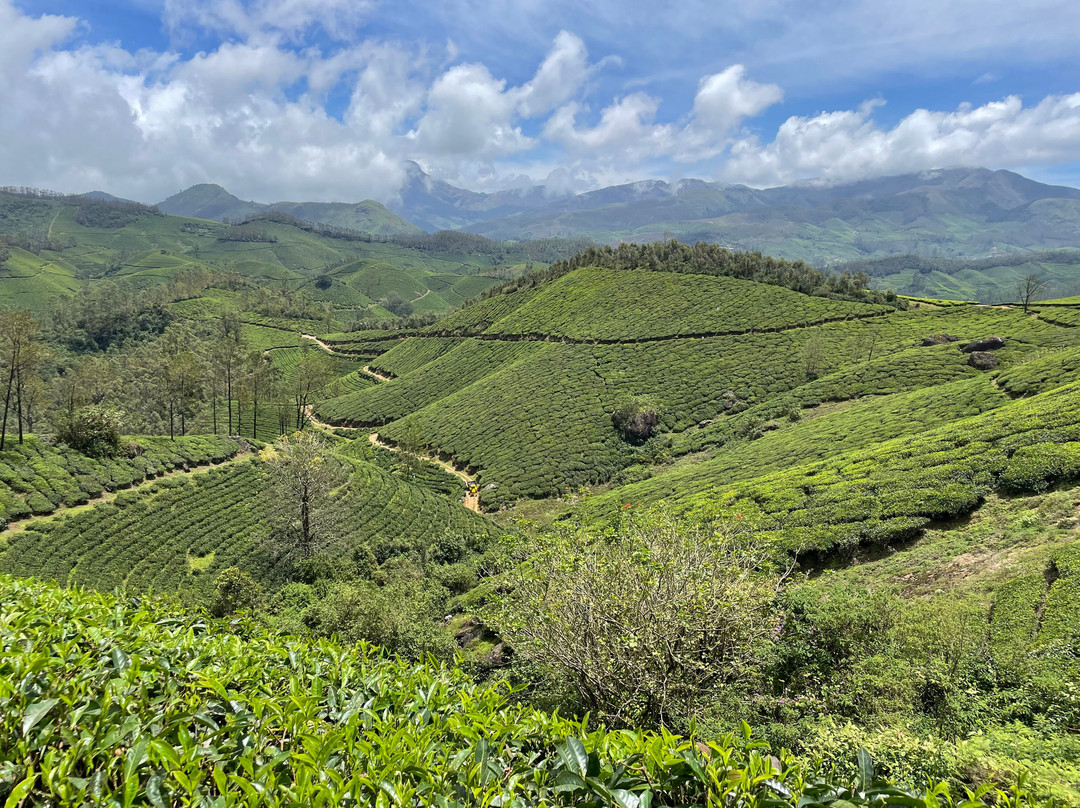 Kerala Dayz-柯钦必去景点