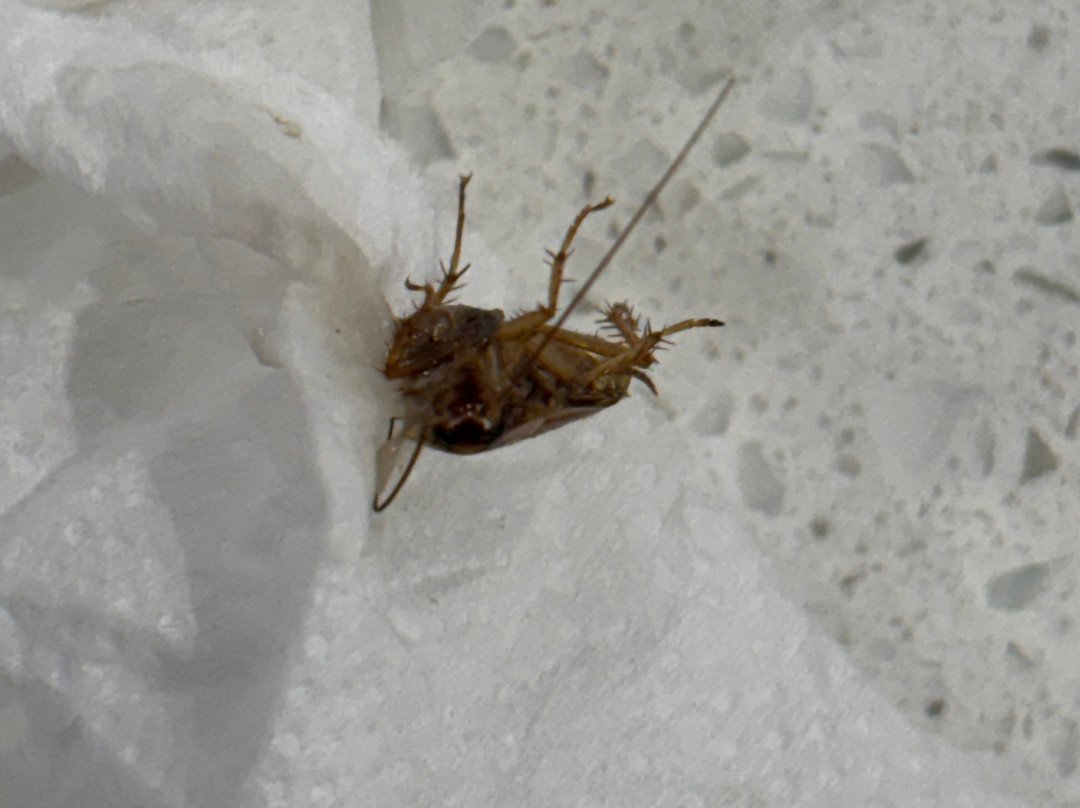 舒适套房酒店主图